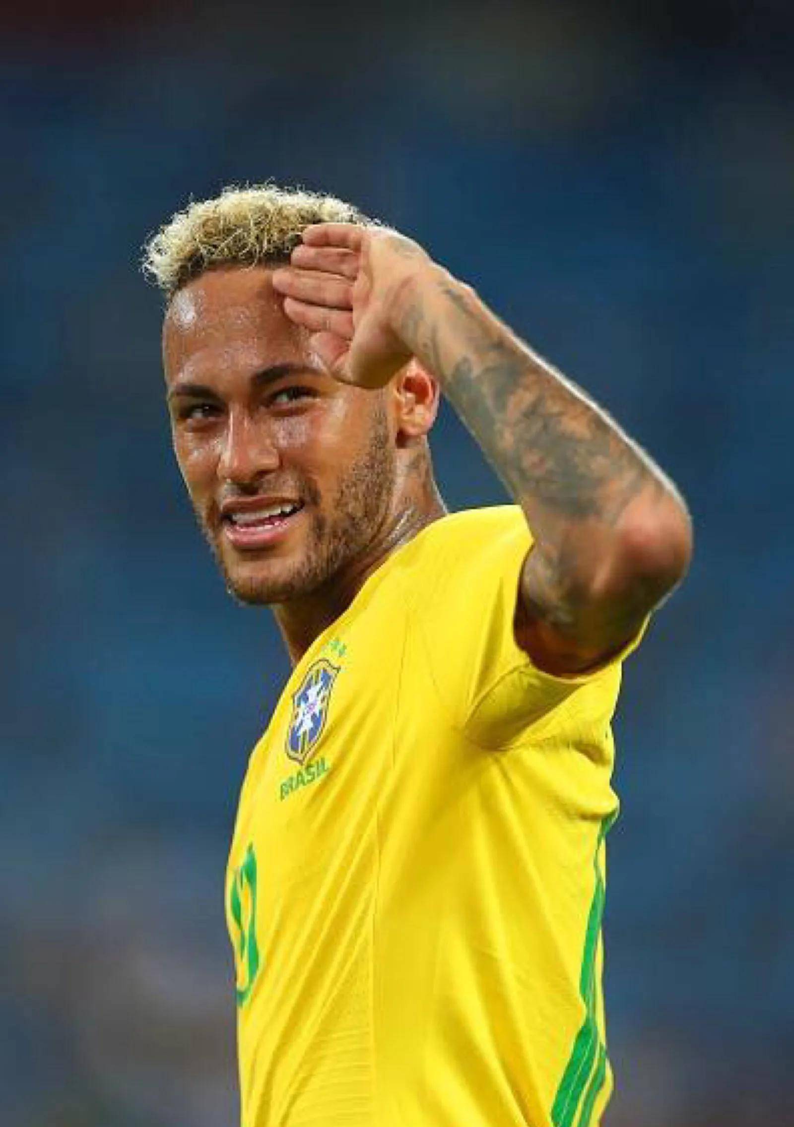 区域内树立 区域内树立